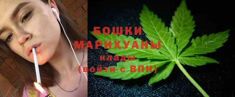 Конопля SATIVA & INDICA  Химки 